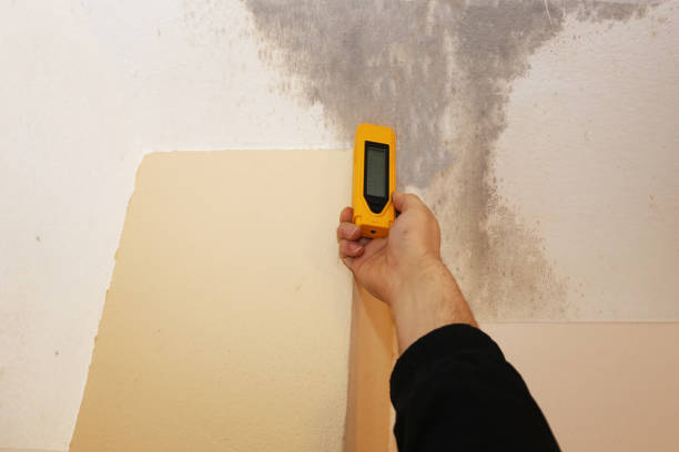 Best Post-Remediation Verification Testing  in Florence, AZ