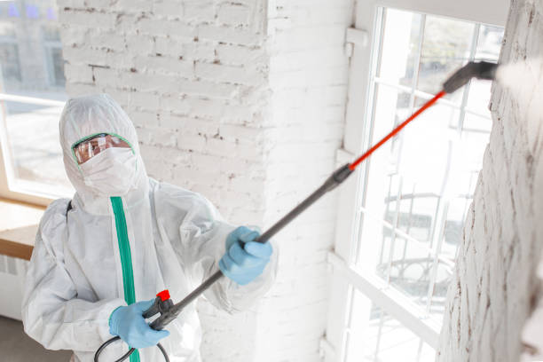 Best Biohazard Mold Removal  in Florence, AZ