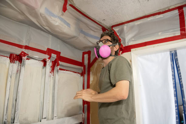 Best Post-Construction Mold Inspection  in Florence, AZ