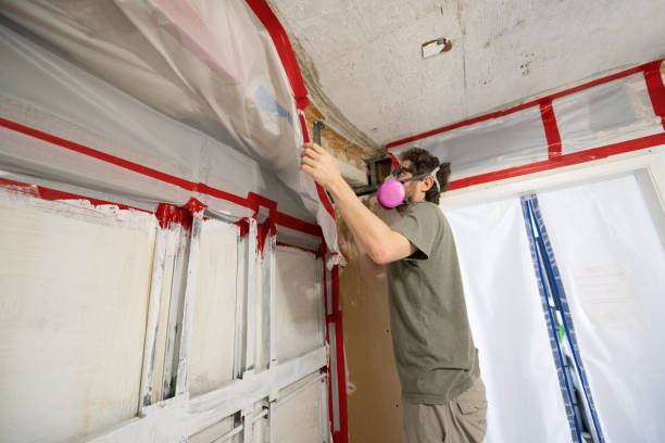 Best Mold Remediation for Healthcare Facilities  in Florence, AZ