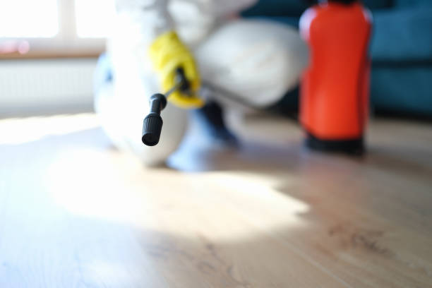 Florence, AZ Mold Removal Company