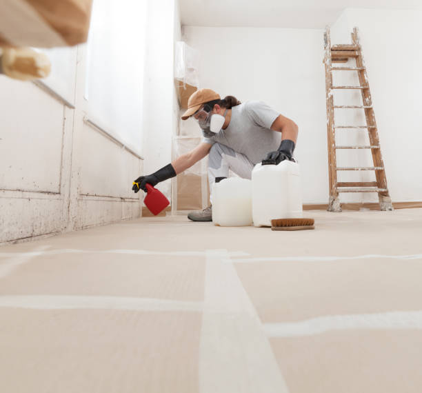 Best Commercial Mold Inspection  in Florence, AZ